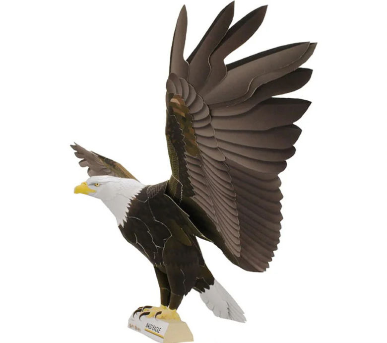 American Bald Eagle Paper Model