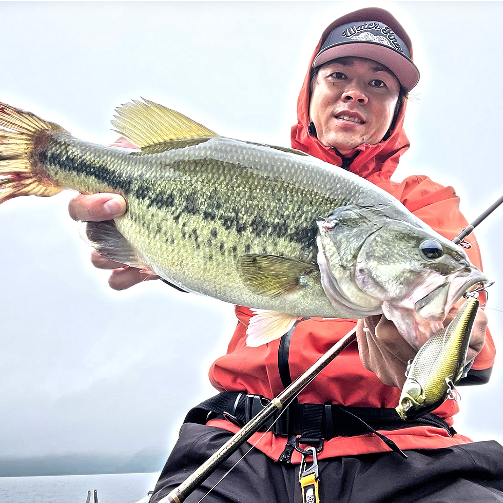 Megabass VIBRATION-X ULTRA HT ITO Tennessee Shad Silent Vibration Lure