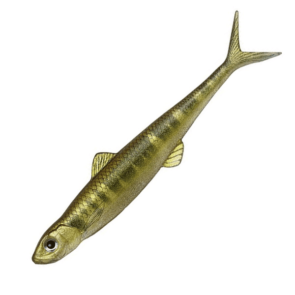 Thumbnail: Evergreen Last Ace F Floating Soft Swimbait Lure