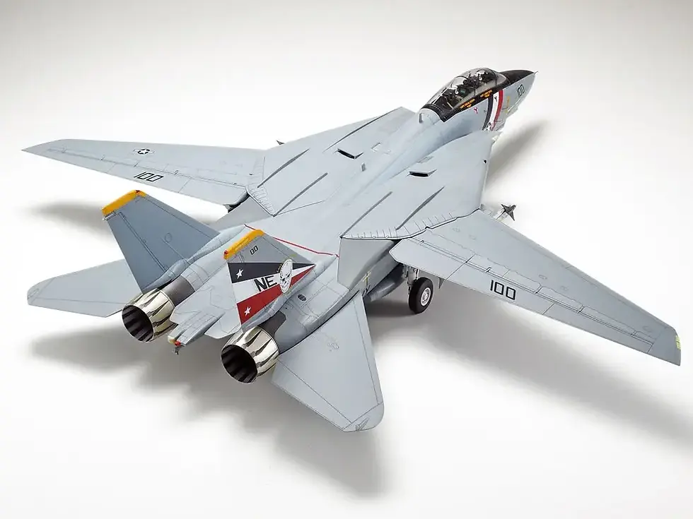 Thumbnail: Grumman F-14d Tomcat 1/48 Aircraft