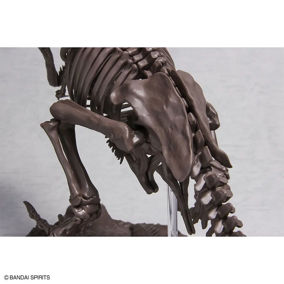 Thumbnail: 1/32 Imaginary Skeleton Tyrannosaurus Model Kit
