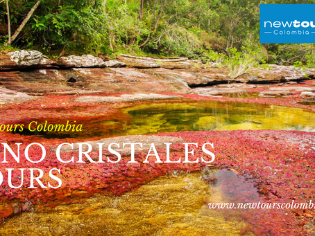 Exploring Sierra de La Macarena: The Gateway to Cano Cristales