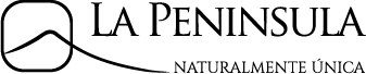 20 La Peninsula 202-logo-02.png