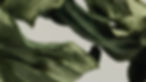 04ec634b14d2ccaa915bf0080c6b5088_edited.jpg