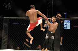 7726922548_555019447919341_1815287800_o