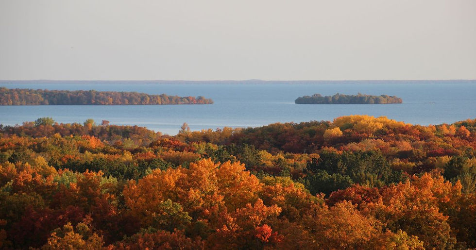 fall-trees-from-above-mille-lacs-kathio-state-park.jpg