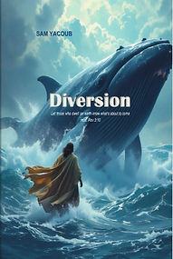 Diversion.jpg