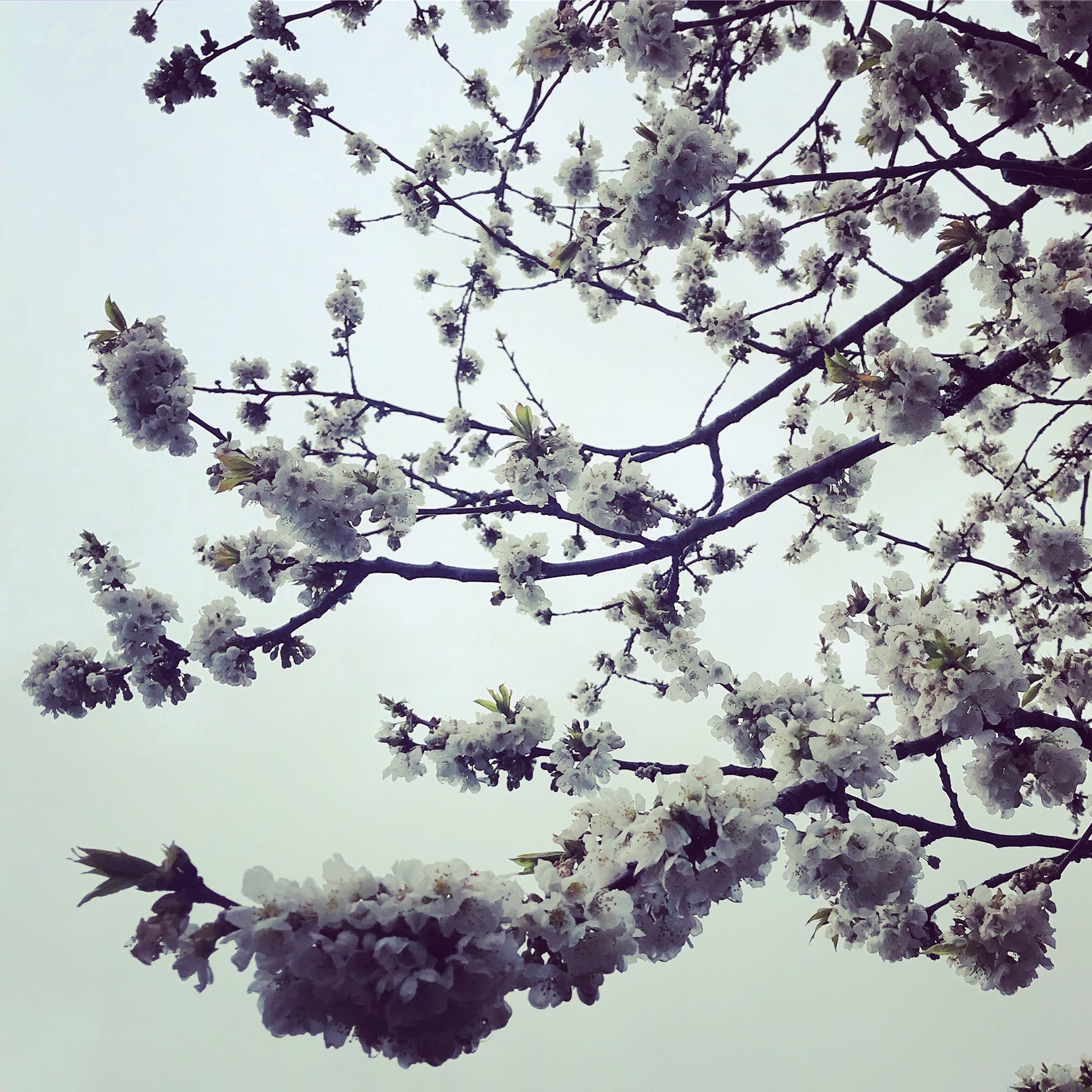 Photo du rédacteur: Lydie Lempereur