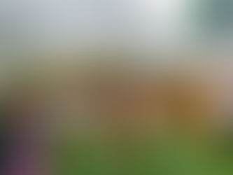 TRẢI NGHIỆM SÁNG TẠO CÙNG GIẤY BÌA CARTON