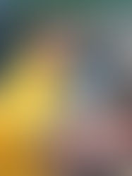 Student Spotlight: Discover Their Journey