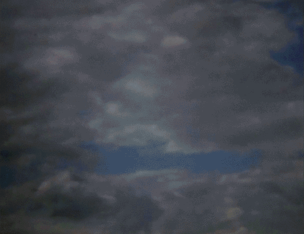 URUBU CINE _ SERGIO PEO - GIF.gif