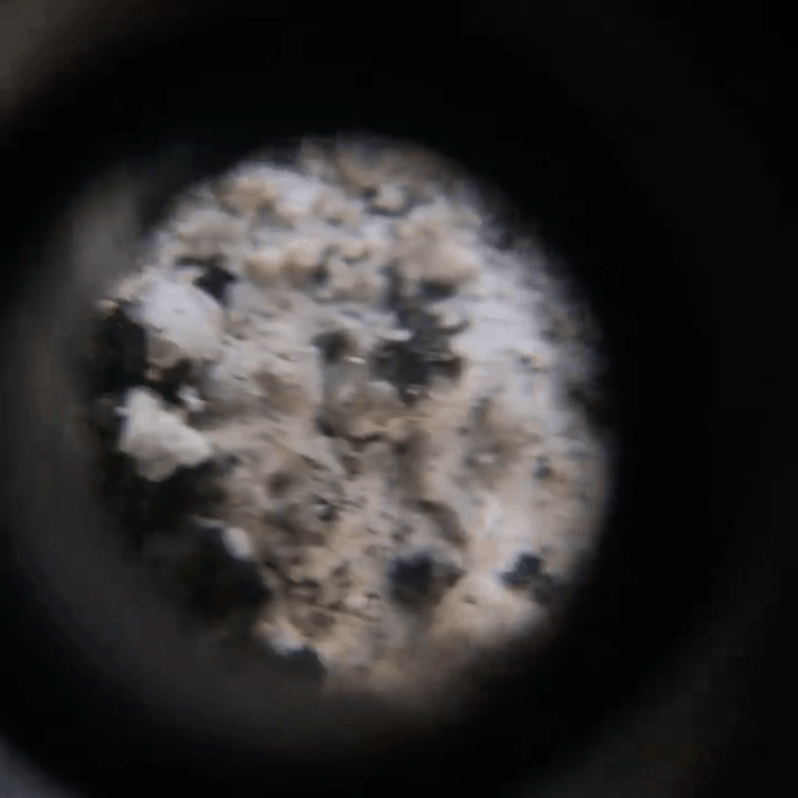 20231203_195927.GIF
