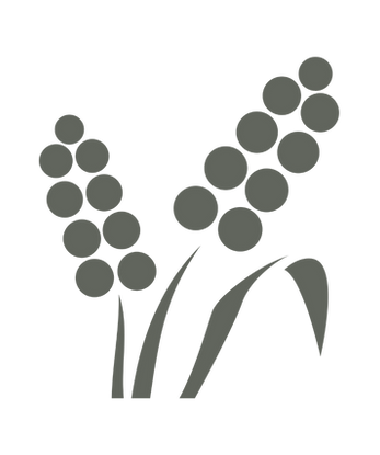 Untitled design (18).png