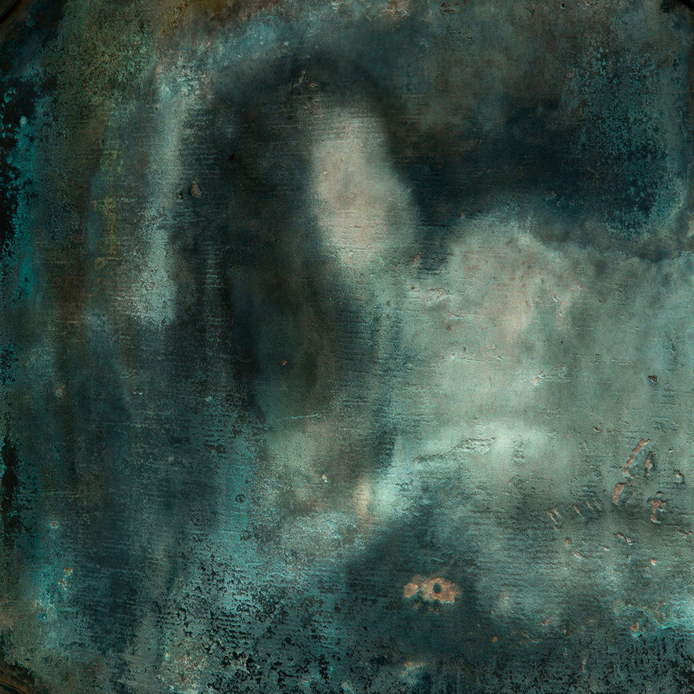 young woman resting on the grass, v. spider hairpin