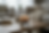 Photoroom_20260112_233947.png