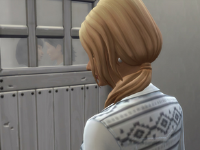 G5/ Chapitre 1 : Windenburg