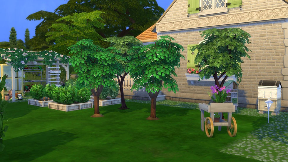Le potager et les arbres fruitiers