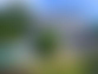 LE DOMAINE DU PHARE Chambres d'hôte