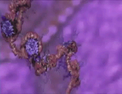 2dlH.gif