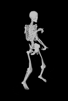 skeleton-dancing-skeleton.gif
