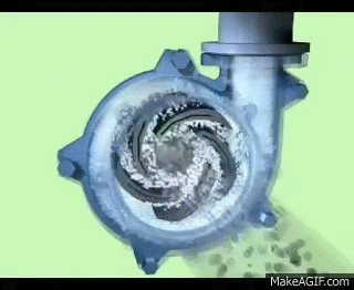 JssCil.gif