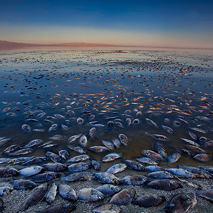 Our Rights, Our Freedoms, Always