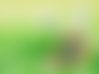 Easter Egg Hunts & Spring Fun: Your 2026 Guide for Orange & Chatham County