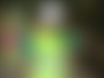 ПРОЕКТ МИНИ-ПОХОД