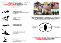 program brief and target user