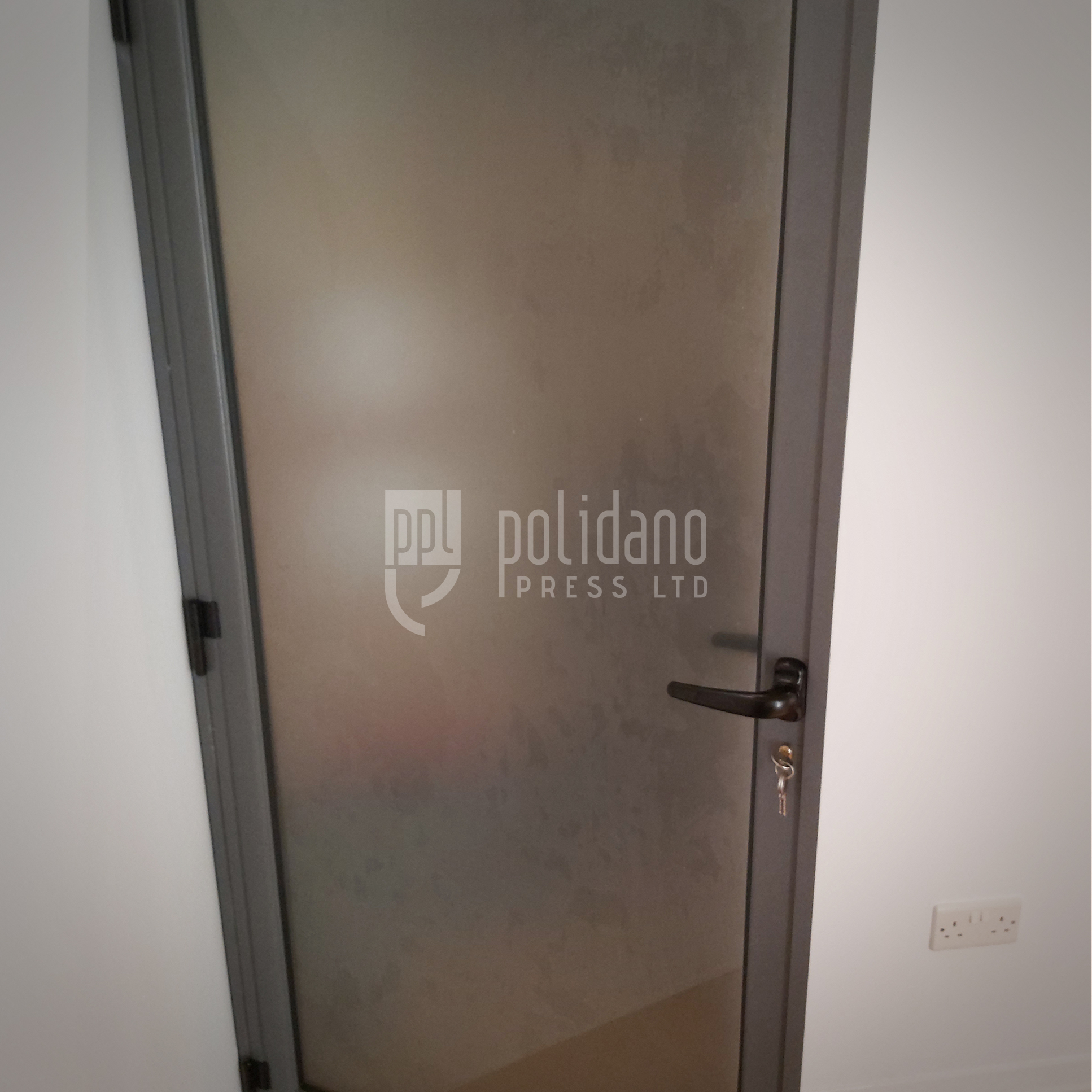 FROSTED DOOR 2
