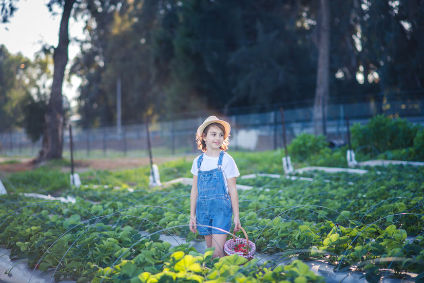 צילומי תדמית תות בקיבוץ חווה חקלאית