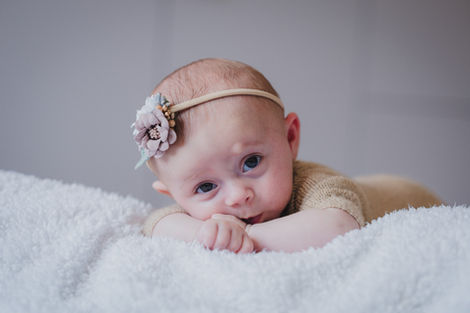 צילומי ניו בורן