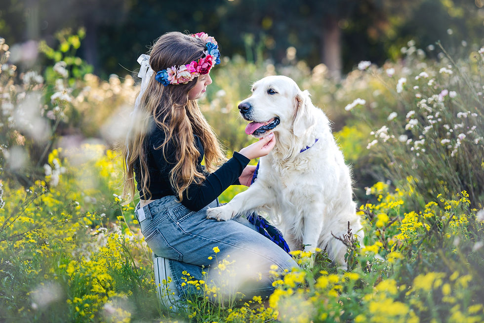 צילומי בת מצווה עם כלבים