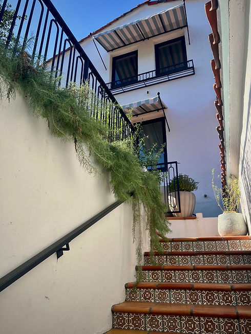 Artemisia and Spanish tile Los Angeles Landscape Design
