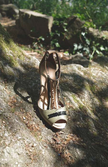 Olive (1).JPG