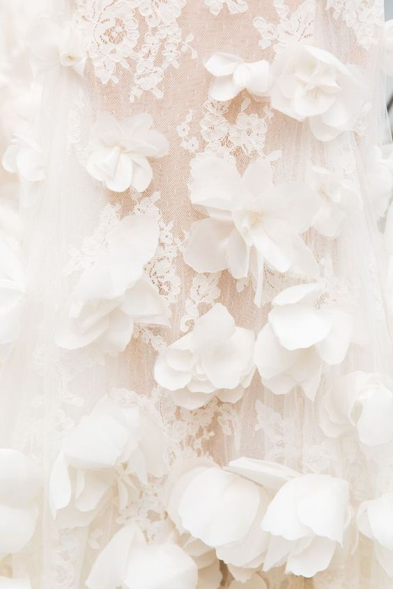 dentelle7