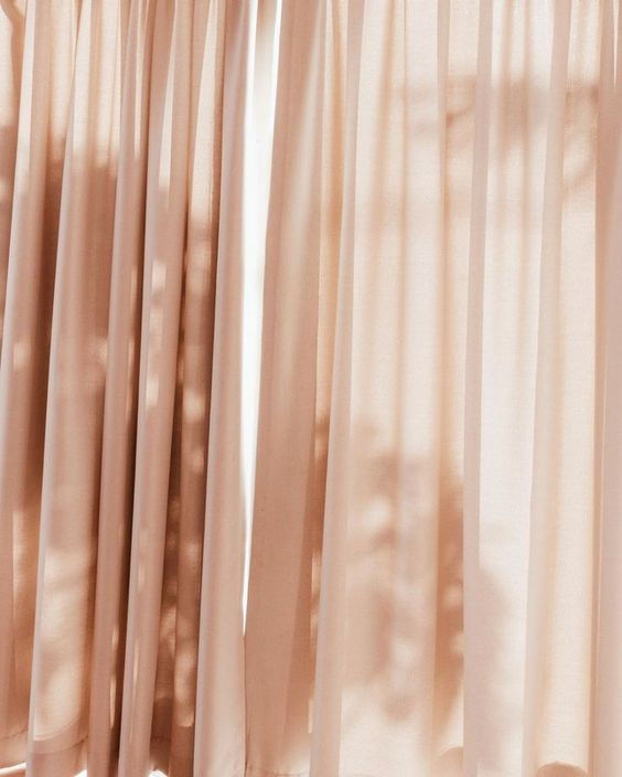 rose pale2