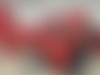 Why I'm Running (Again): Volunteers, Vision, and the Work Ahead