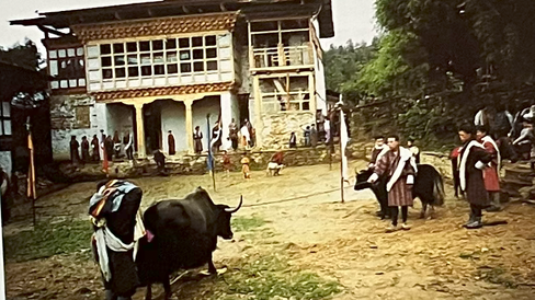 Animal blessing day – Dechenling temple in the background