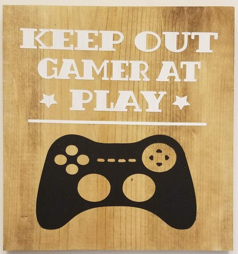 Keep Out, Gamer At Play