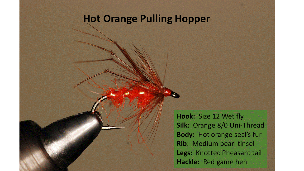 Orange Hopper.gif