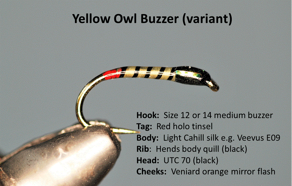 Yellow Owl buzzer.GIF