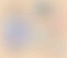 Inside of GMI Passport