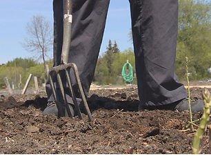 march_gardening_jobs_1.jpg