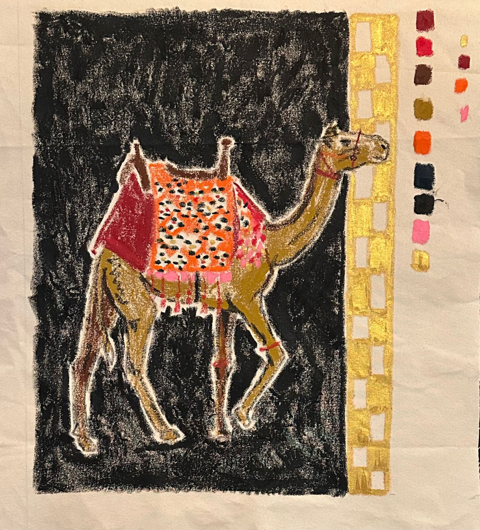 Camel 30x25