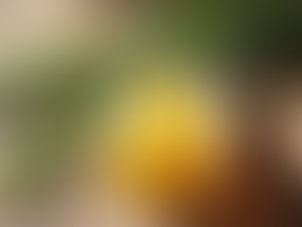 Emotional Stress & Skin Healing: The Powerful Mind-Body Connection