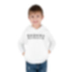 Thumbnail: Toddler Pullover Fleece Hoodie