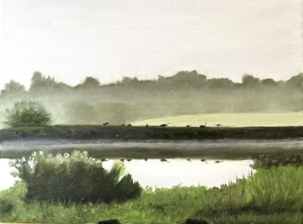 Misty Morning, Fairfield oil painting 2026