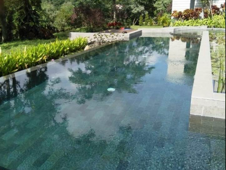 Kolam Renang Natural: Tanpa Kaporit dan Ramah Lingkungan