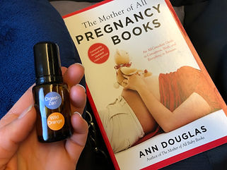 preg book.jpeg